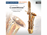 CannWood Saxophone_ _ Professional Class _ CBAS_8100DG _